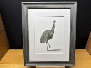 Dibujo de un pájaro no volador emú de Australia grafito lápiz arte boceto imagen - Imagen 1 de 17