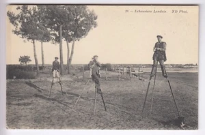 CPA LANDES 40 - ECHASSIERS LANDAIS BERGERS PAYSANS FOLKLORE GASCOGNE 1920 ~C31 - Imagen 1 de 2