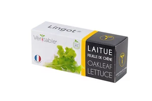 Veritable Lingot Oakleaf Lettuce Organic - Afbeelding 1 van 2