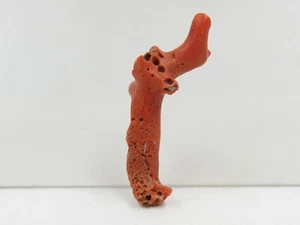 Natural Italian Red Coral Polished Rough Stick Gemstone For Jewelry - Picture 1 of 8