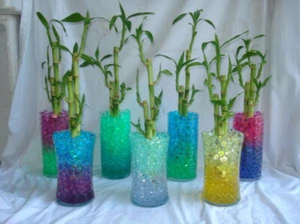 CUENTAS DE AGUA para BAMBÚ LUCKY, abraza raíces reducen riego. flores - 30 colores - Imagen 1 de 72