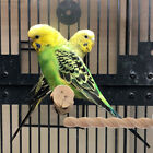 Holz Vogelbarsch Ständer für Papageien und Sittiche