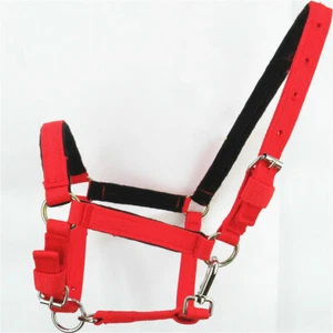 Nylon Headcollar Horse Halter Adjustable Field Safe Pony Cob Full All Size Parts - Picture 1 of 8