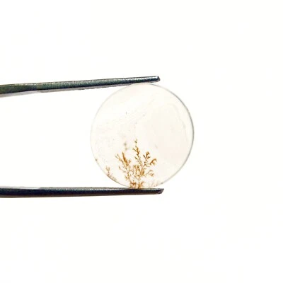 Ágata dendrítica natural cabujón ágata escénica piedra preciosa cabujón dendrita ágata Foto 1 de 3