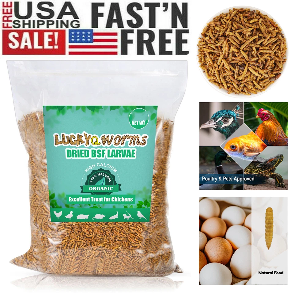 LUCKYQ Dried Black Soldier Fly Larvae Chickens Feed Birds Treats Natural Food Bulk BSFL