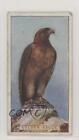 1923 ITC of Canada British Birds Stand-Ups Tobacco Golden Eagle #9 z6d