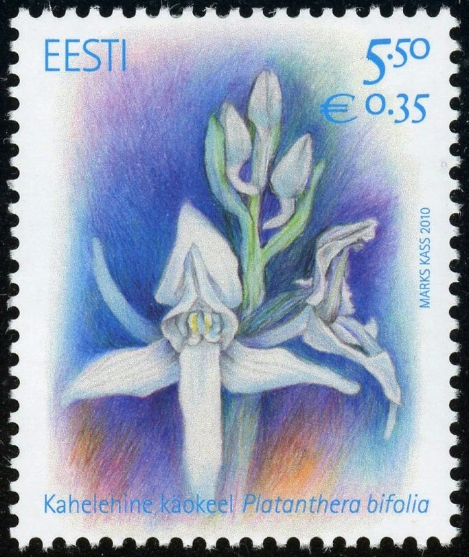 Estampilla postal de flores de Platanthera Bifolia 2010 Europa Eesti MLH de Estonia #636 Foto 1 de 1