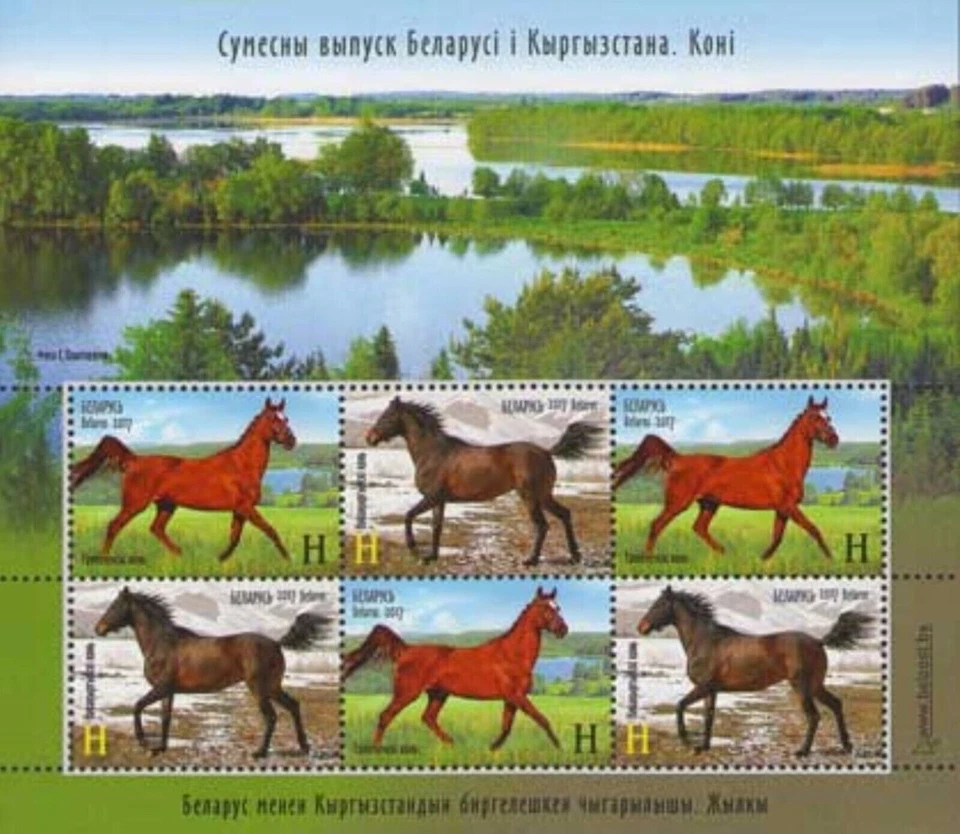Bielorrusia 2017. Fauna. Caballos - Edición conjunta con Kirguistán. Mini sábana. MNH Foto 1 de 1