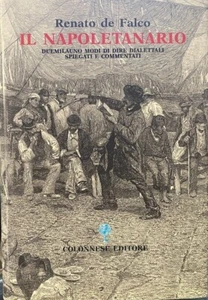 (Napoli) R. De Falco - IL NAPOLETANARIO - I EDIZIONE - Colonnese 2001 - Imagen 1 de 1