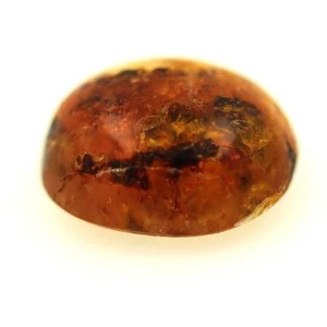 Copal with Insect. 6.31 cts. Madagascar - Picture 1 of 1