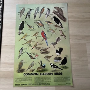 Australian Common Garden Birds 1988 by Goulde League Laminated Print - Picture 1 of 7