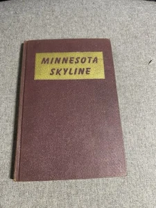 Minnesota Skyline - Picture 1 of 3