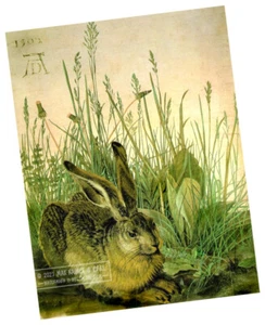 ALBRECHT DURER Hare Rabbit in weeds 1502 * Botanic Nature * Fine ART PRINT 8x10" - Picture 1 of 6