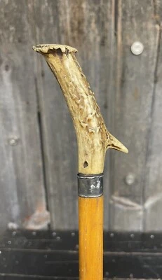 Antique Wooden Gentleman’s Cane Walking Stick W/ Unique Handle & Silver Ring - Image 1 of 4