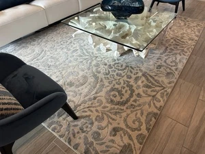 Blue And cream Plush Area Rug includes premium rug pad) - Picture 1 of 3
