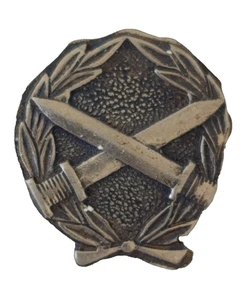 ISRAEL ARMY ZAHAL IDF VETERAN TEAM PIN BADGE MILITARY VINTAGE - Picture 1 of 2