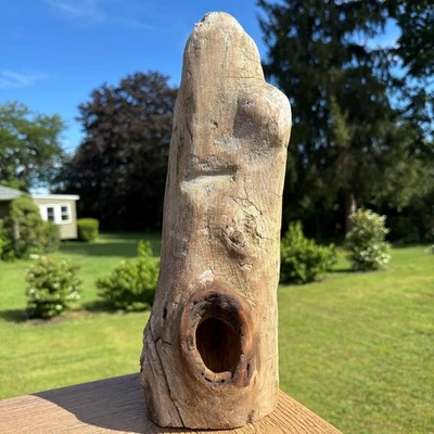 Driftwood 14x6x4 – Natural Wood w/ Knot Opening & Eye Hole for Decor or Tank - Image 1 of 4