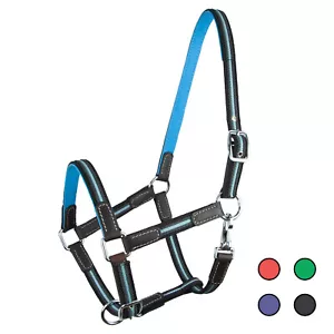 Halfter "Ruby" Leder Gurtband farbig robust - Bild 1 von 25