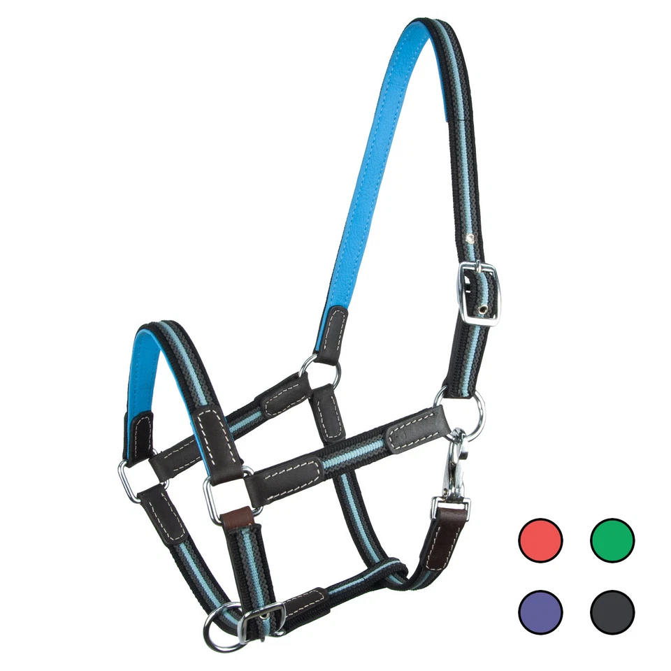 Halfter "Ruby" Leder Gurtband farbig robust - Bild 1 von 1