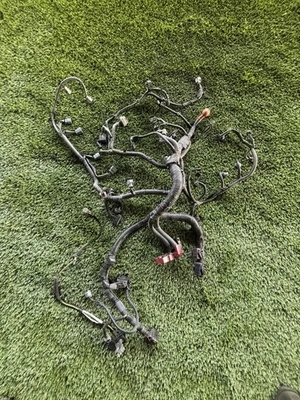 Arnés de cableado completo del motor fuera de un Nissan Sentra SR 2014. Foto 1 de 4