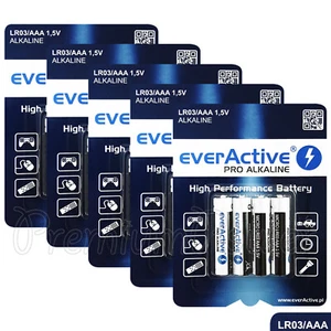 Paquete de 20 pilas alcalinas everActive AAA LR03 MICRO MN2400 1,5 V GRAN VALOR - Imagen 1 de 1