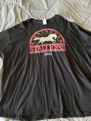 Camiseta Vintage Birmingham Stallions, USFL Retro Fútbol Alabama Hombres’s 4XL Foto 1 de 4
