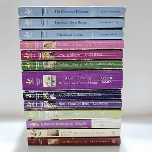 13 Christian Romance Books Inspirational Faith Based Love Inspired Steeple Hill - Picture 1 of 19