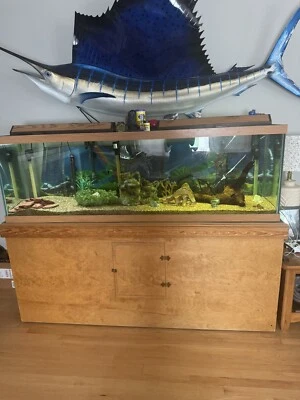 125 галлонов аквариум с подставкой и фильтром (72 дюйма в длину, 24 дюйма в высоту) - Изображение 1 из 3