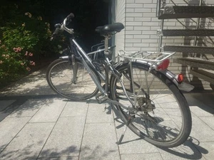 Damen-Touren Fahrrad Pegasus Premio SL Superlight ALU 7005 28 Zoll gut erhalten - Bild 1 von 4