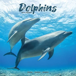 DOLPHINS - 2026 WALL CALENDAR - BRAND NEW - 07299 - Picture 1 of 3