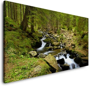 CANVAS FOREST BACH (PP369) canvas forest forest wust trees photo art fine art - Picture 1 of 6