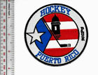 Puerto Rico Ice Hockey League Puerto Rican Ice Hockey Federation Founded in 2004