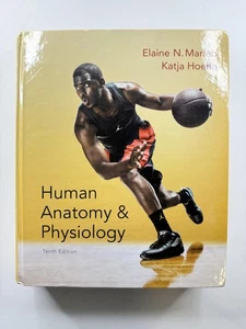 Human Anatomy & Physiology Marieb Hoehn 10th Edition Hardcover Pearson Textbook - Imagen 1 de 10