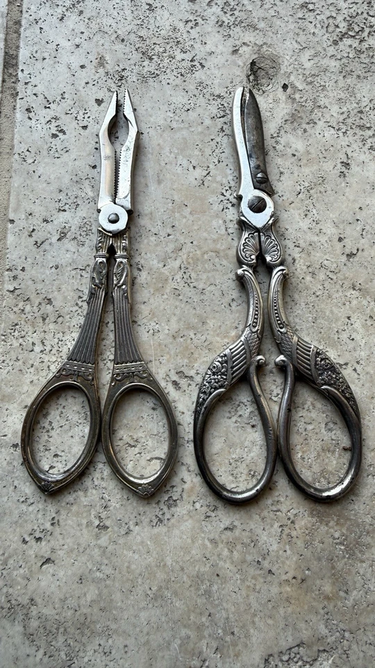 Lot 2 Ancienne Paire De Ciseaux ( À Raisins Fruits ? ) Collection - Photo 1/4
