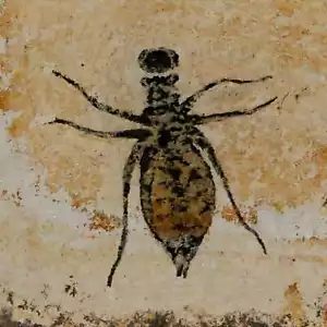 Larve Libellula Fossile 0,7" Libellula Doris Piatto Miocene Superiore Piemonte Italia - Foto 1 di 7