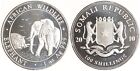 Somalia 100 Shillings 2010 - Elephant - 1 Unze Silber - Stgl. in Kapsel