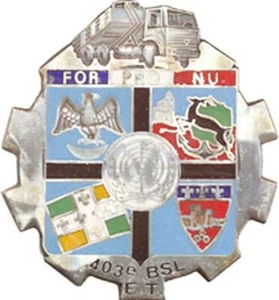 403° Bataillon de Soutien Log., E.T, FOR PRO NU, sol rouge, Destree (0309) - Imagen 1 de 2
