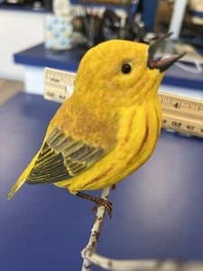 Hand Carved Painted Folk Art Yellow Goldfinch Signed  J. Chase 2001 - Picture 1 of 6