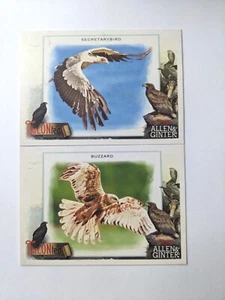 2023 Allen & Ginter Talonted Secretary Bird & Buzzard - Picture 1 of 2