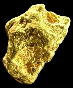 Pepita de oro puro natural genuina #ak320 .788 gramos Alaskan Yukon BC #AK320 - Imagen 1 de 5