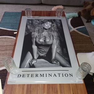 1992 Funky Poster Bobbi Phillips #3338 Determination Bench, NOS, 34 1/2 x 22 - Bild 1 von 9