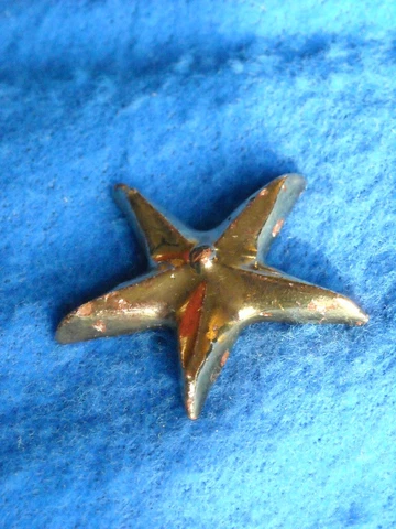 CERAMIC STAR SWISS ANTIQUE SEW CLOTHING BUTTON NEUCHATEL Cover