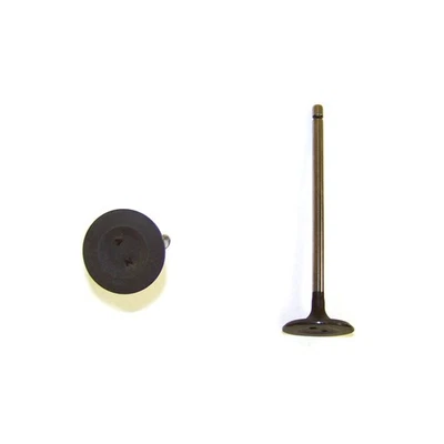 DNJ IV928 Engine Intake Valve For Select 08-15 Lexus Pontiac Scion Toyota Models Foto 1 de 4