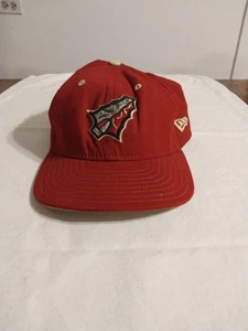 Vintage New Era Tyro.001 Florida State Seminoles FSU Hat Cap Fitted 7 5/8" USA - Picture 1 of 9