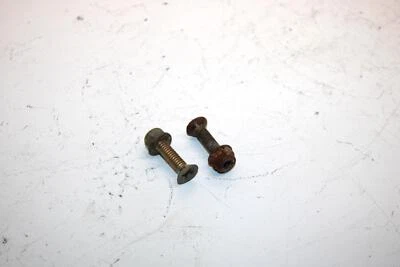 07 Arctic Cat Jaguar Z1 1100 Efi OEM Deslizable Par de Pernos de Retención 0123-859 SA301 Foto 1 de 4