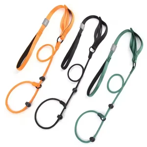 Correa deslizante de nailon con plomo para perros y collar correa de entrenamiento para perros con doble mango - Imagen 1 de 8
