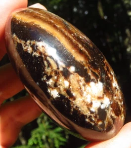 FUDGE SWIRL CHOCOLATE BROWN BLACK OPAL GEM GRADE CRYSTAL PALMSTONE MADAGASCAR *7 - Picture 1 of 14