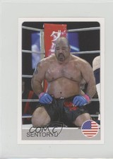 2007 Rafo Fighters Borci Stickers Sentoryu #149