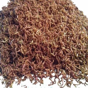 Blood worms Fish Food Freeze Dried for Tropical Marine Reptiles Koi Goldfish Fry - Picture 1 of 1
