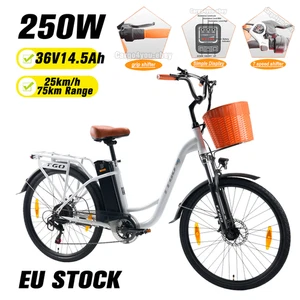 TTGO YY-26ST Elektrofahrrad 250W 36V 14.5Ah City E-Bike Pedelec 7-Speed 75KM EU - Bild 1 von 21
